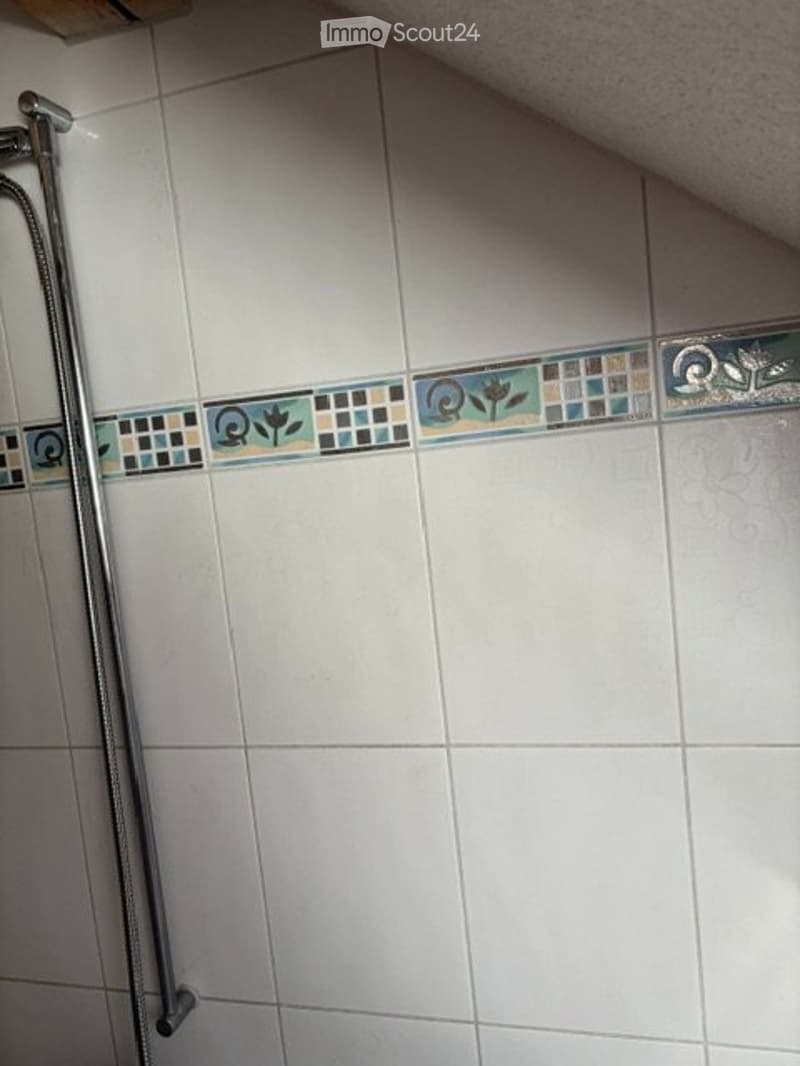 Appartamento affascinante, speciale 3 locali in affitto (5)