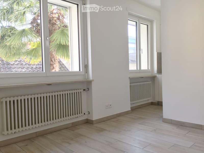 APPARTAMENTO 2 LOCALI A TENERO-LOCARNO incl. spese (2)