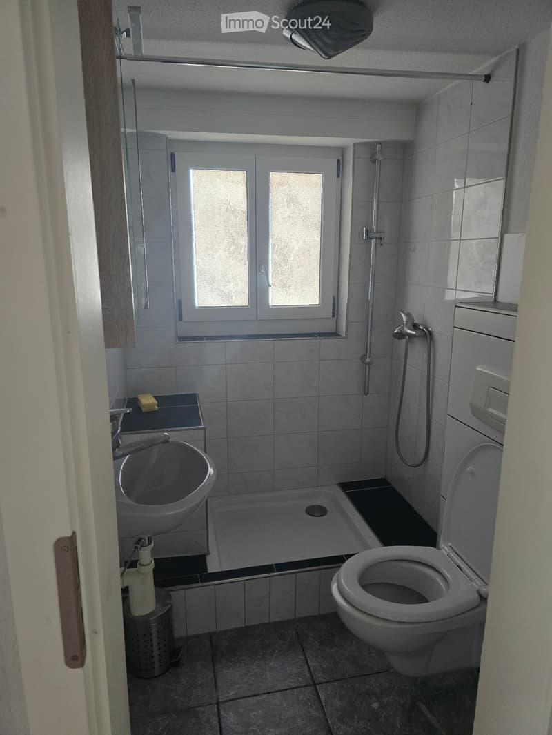 2ZKB ca 44m² sep. Eingang Singlewohnung (5)