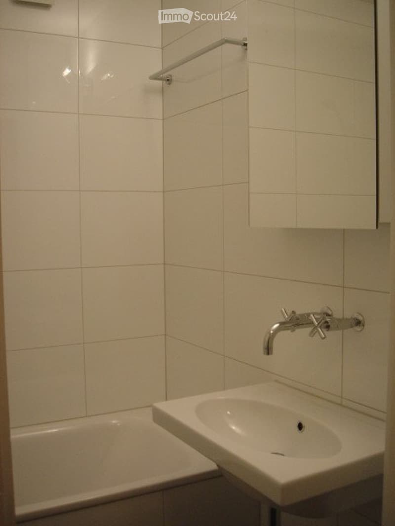 Appartamento 1.5 locali (3)