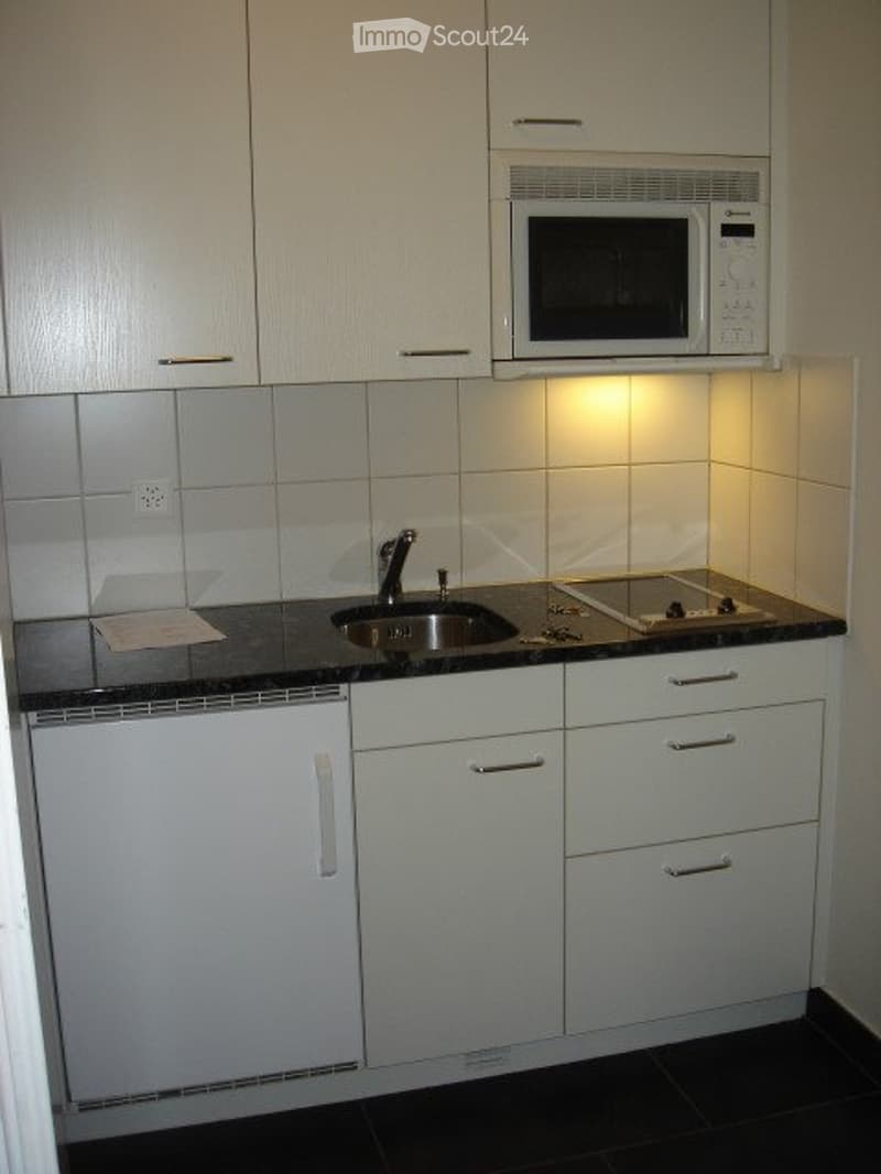 Appartamento 1.5 locali (5)