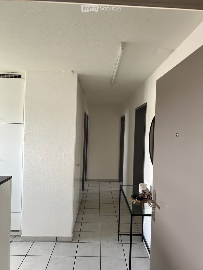 3.5-Zimmer-Wohnung zur Untermiete ab Mitte August (5)