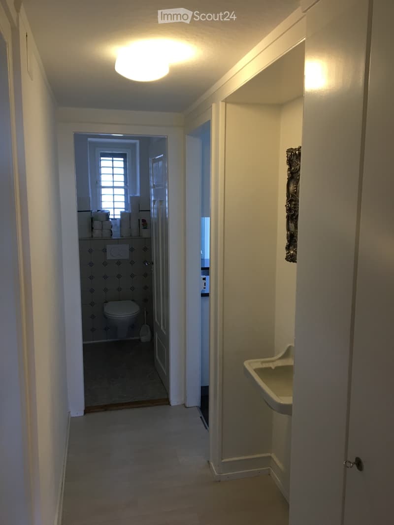 3 minutes on foot to Rapperswil train station, lake view (5)