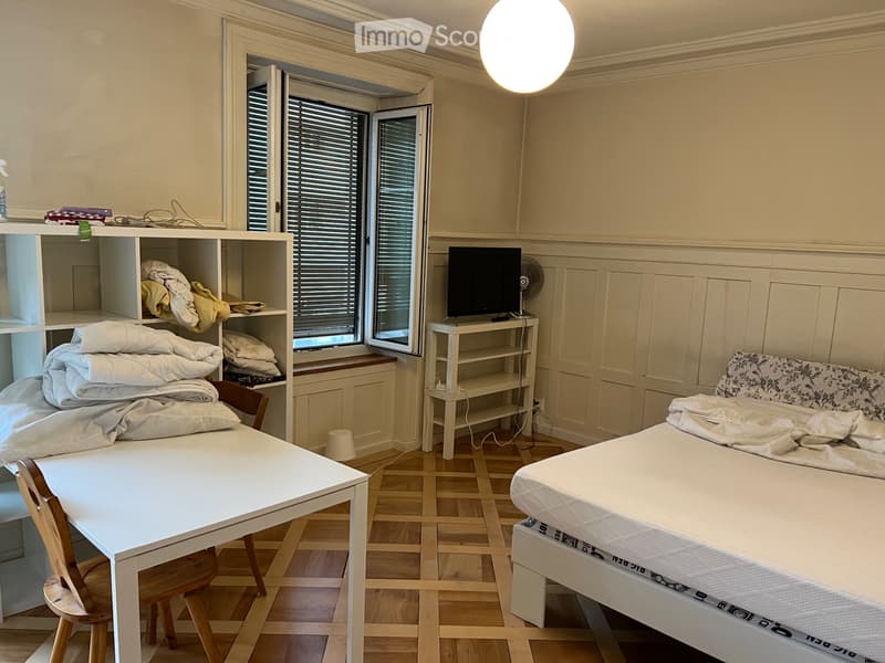 3 minutes on foot to Rapperswil train station, lake view (2)