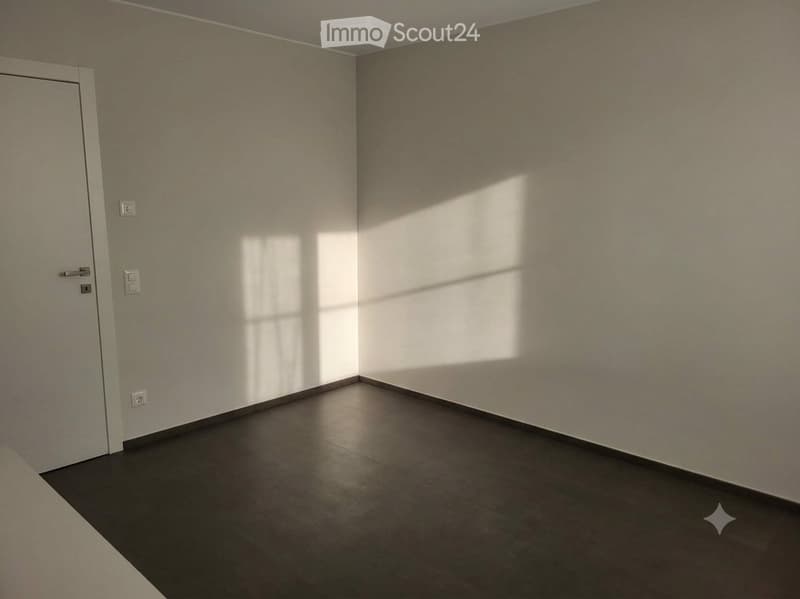 3,5 Zimmer mit Garten in Mendrisio, Nachmieter gesucht (9)
