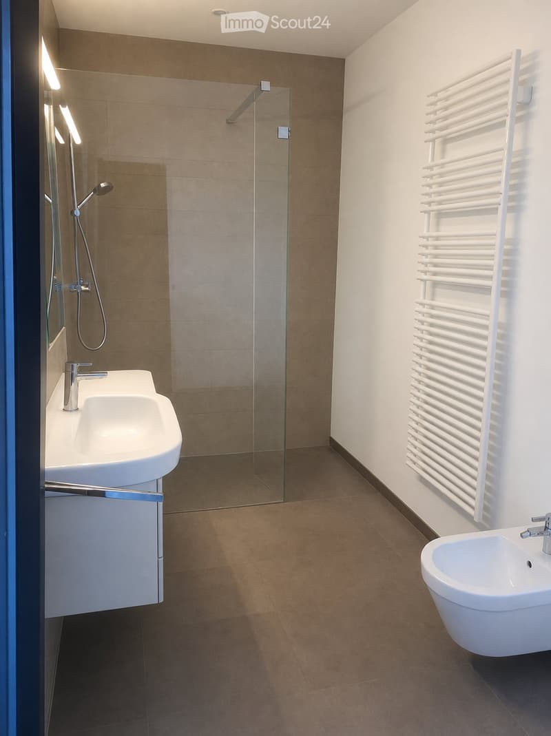 3,5 Zimmer mit Garten in Mendrisio, Nachmieter gesucht (12)