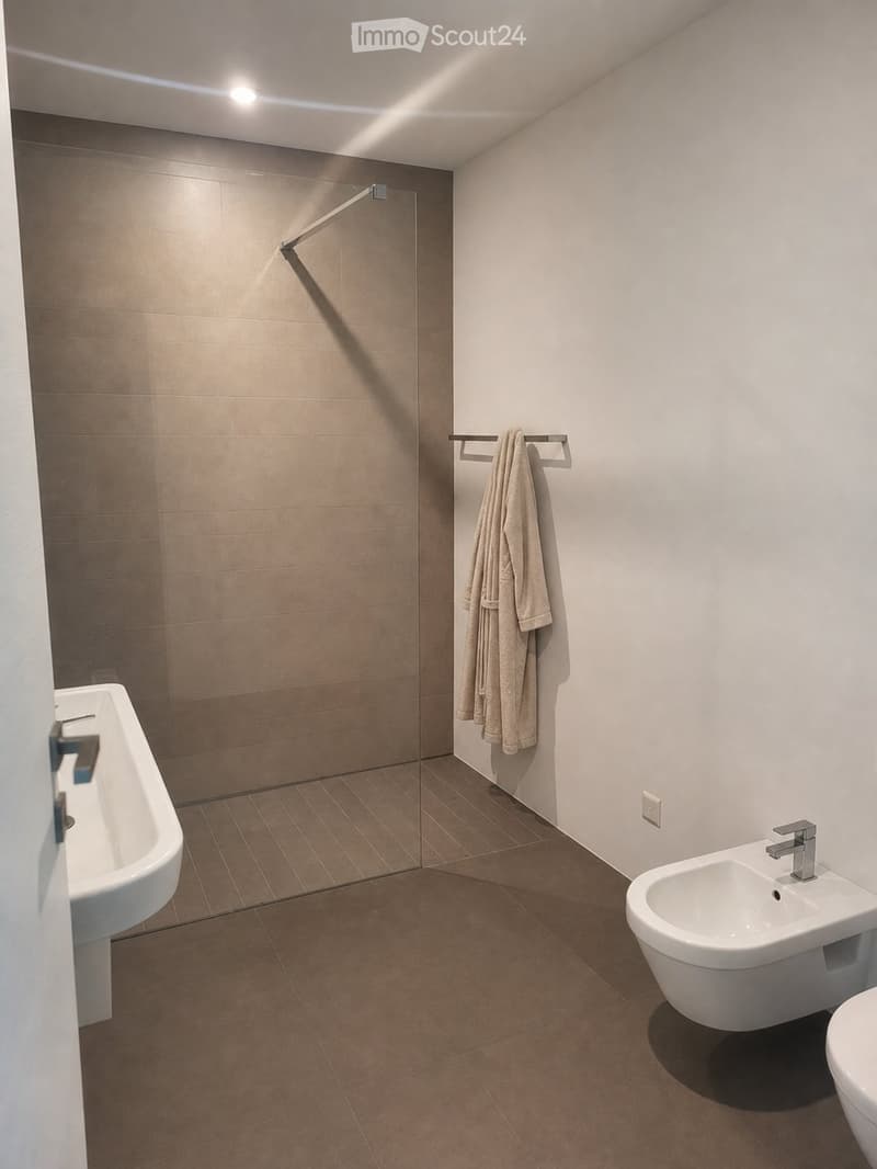 3,5 Zimmer mit Garten in Mendrisio, Nachmieter gesucht (13)