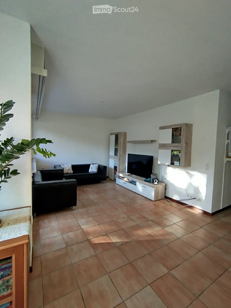 Looking for replacement tenant for 3.5 room apartment in Losone (1)