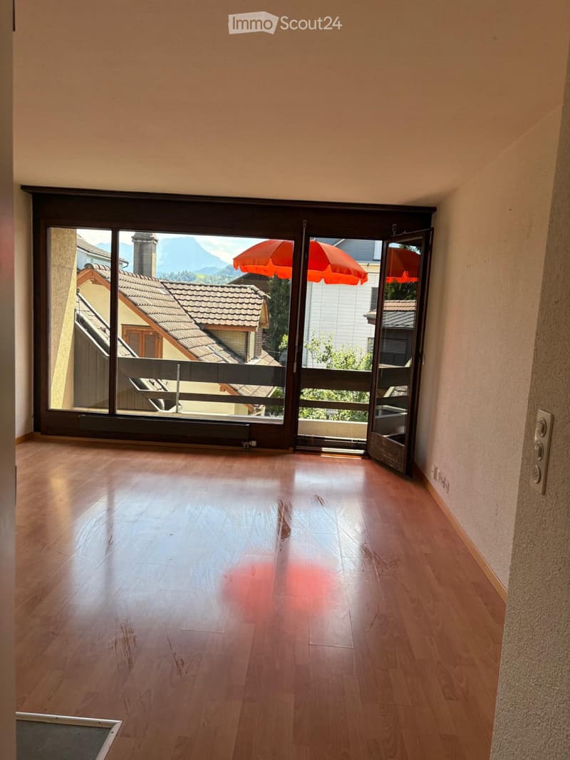 Appartement 1 pièce (4)