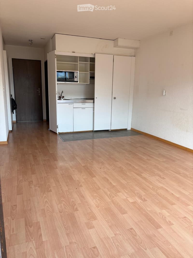 Appartement 1 pièce (3)