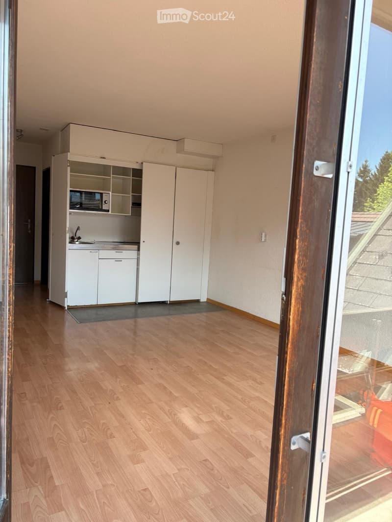 Appartement 1 pièce (2)