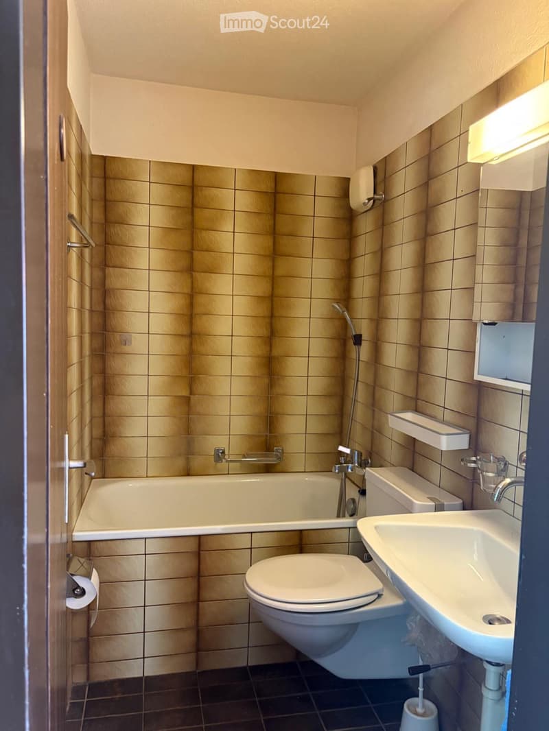 Appartement 1 pièce (5)