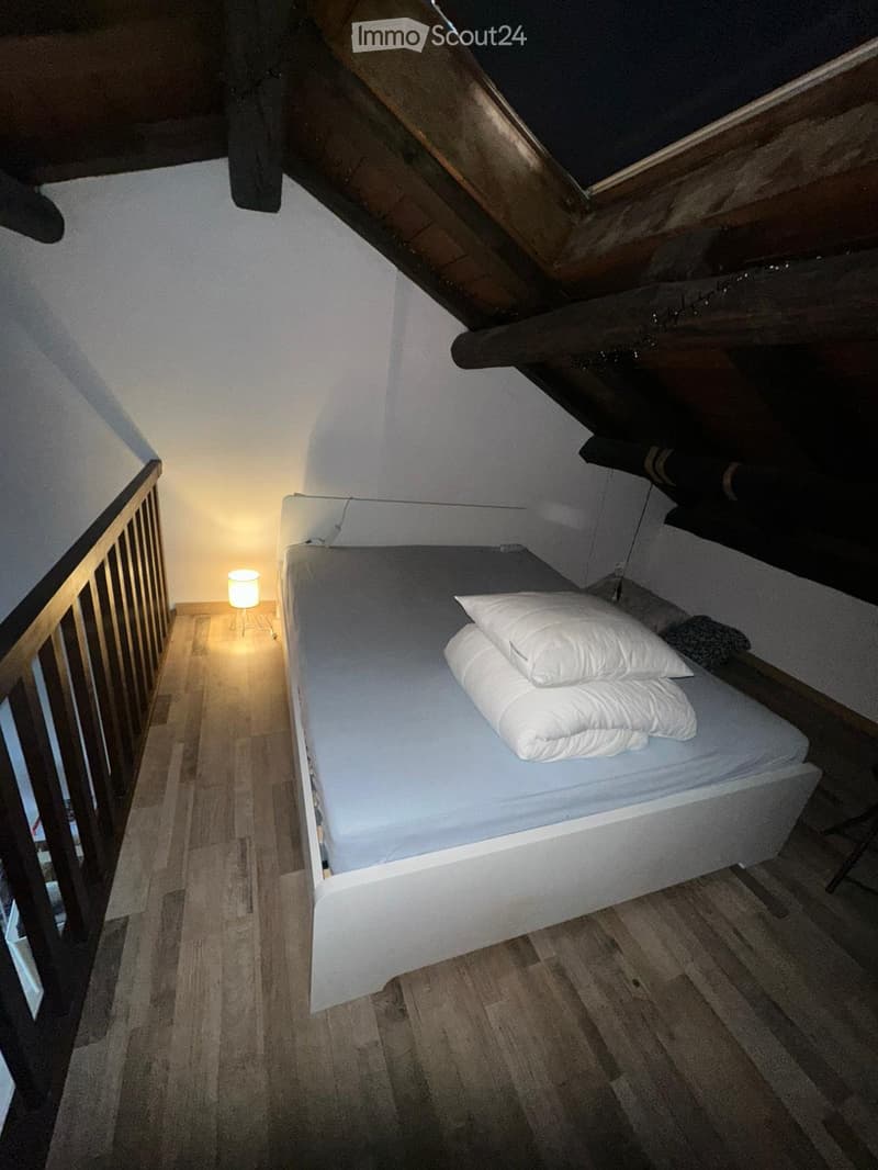 Duplex 55 m² mit Seeblick CHF 1000/Monat (5)