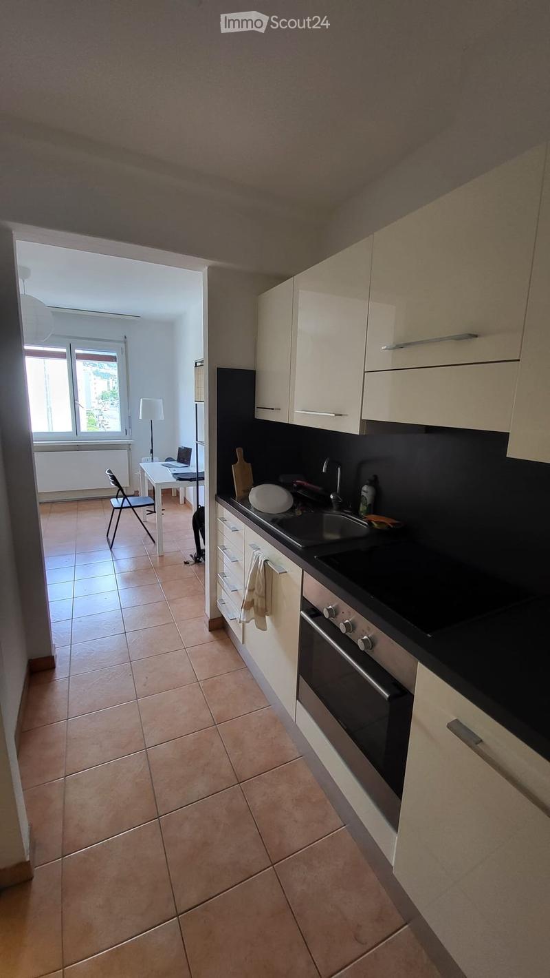 Beautiful 1.5-room studio just a few steps from USI and SUPSI (2)