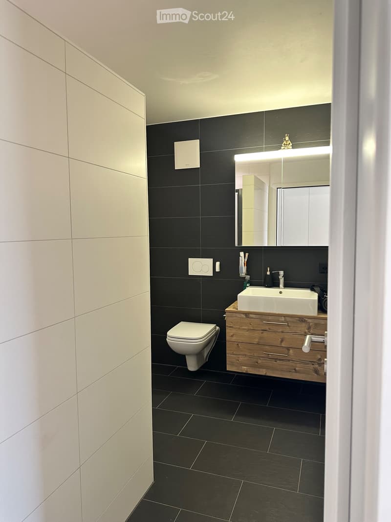Jolie appartement 2,5 pièce a louer (5)