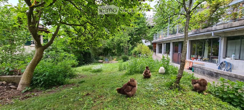 Charmante Dachwohnung (zur Untermiete) mit Hühner-Glück (5)