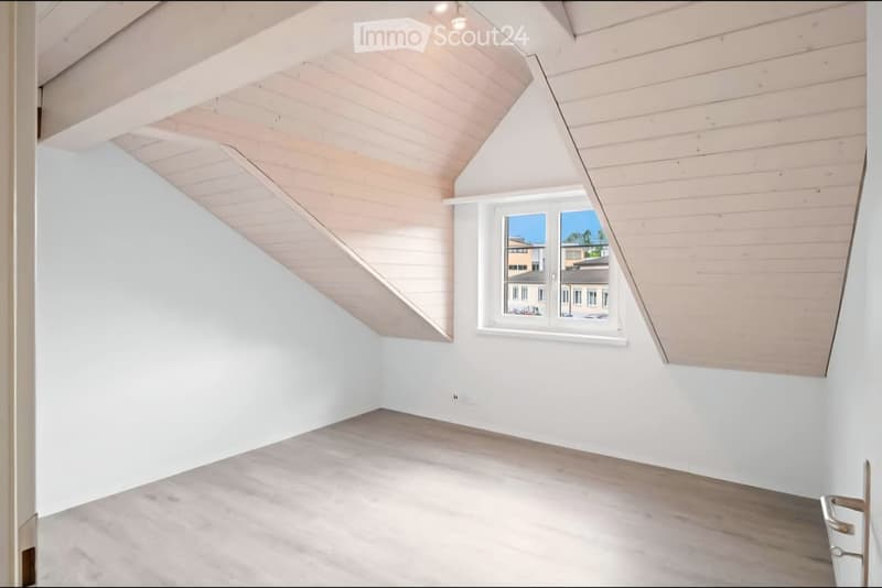 Grosszügige Dachwohnung (1)