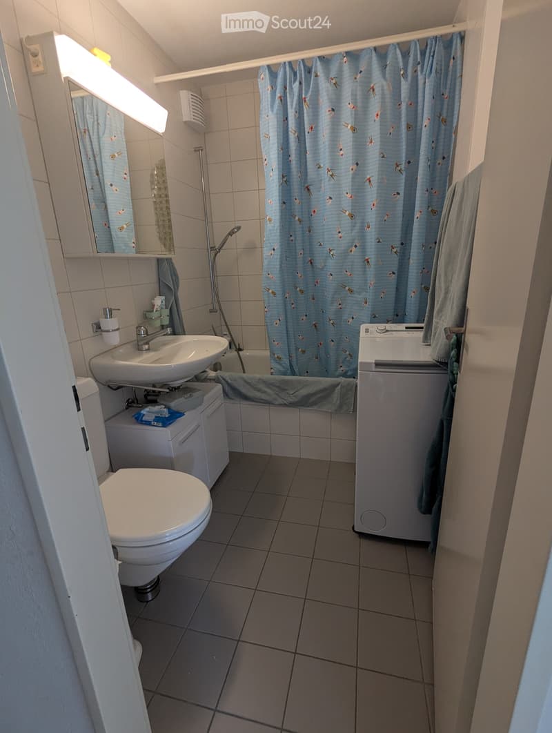 Appartamento 3,5 locali in affitto (4)
