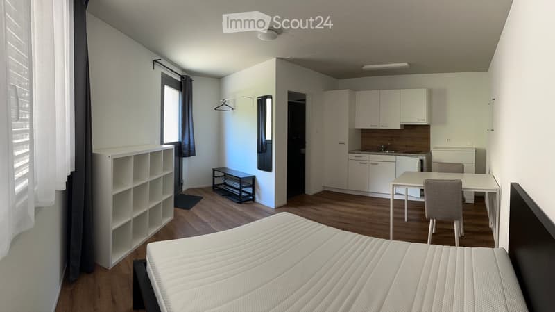 Studio Furnished (2)