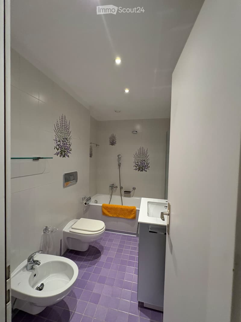 Ich suche einen Nachmieter für ein Einzimmerapartment in Paradiso (1)