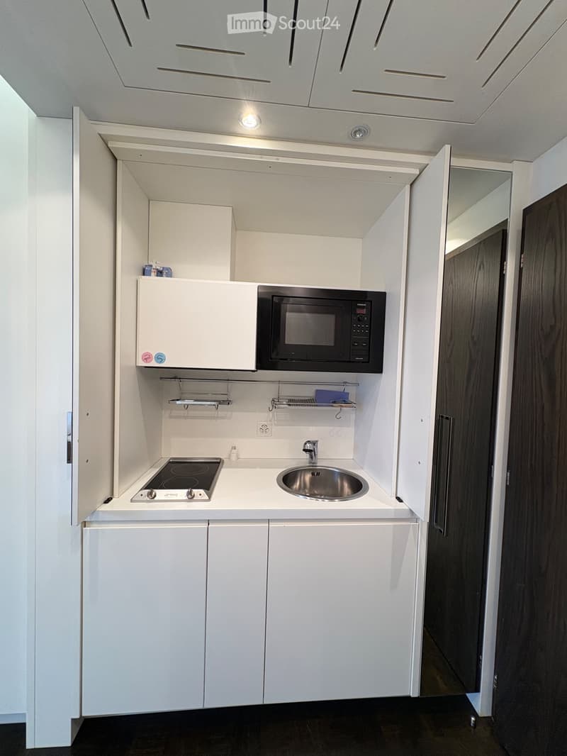 Ich suche einen Nachmieter für ein Einzimmerapartment in Paradiso (2)