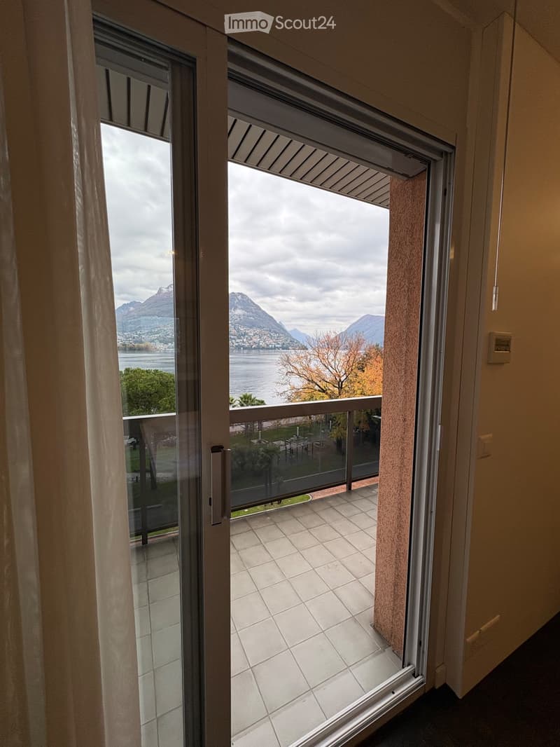 Ich suche einen Nachmieter für ein Einzimmerapartment in Paradiso (5)