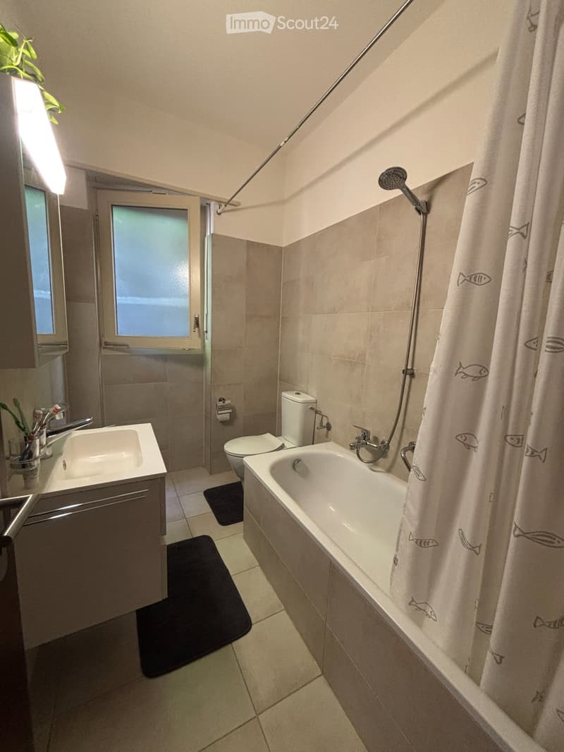 3,5-Zimmer-Wohnung zur Miete in Lugano (63 m²) (4)