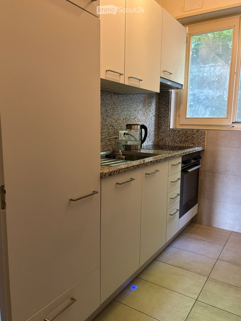 3,5-Zimmer-Wohnung zur Miete in Lugano (63 m²) (3)