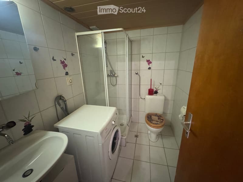 Appartamento 4,5 locali (5)