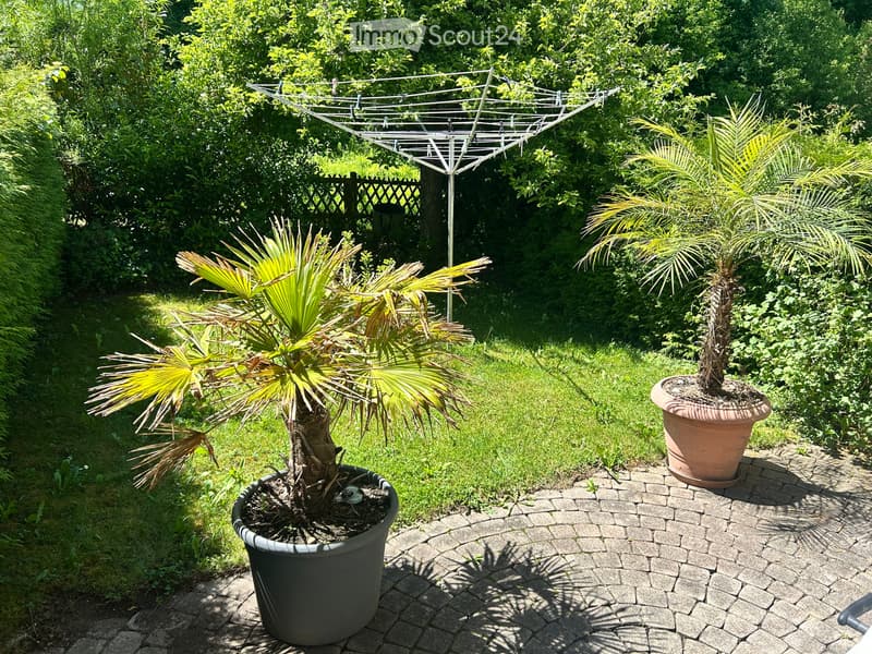 Reihenhaus mit viel Platz in bester Lage (1)