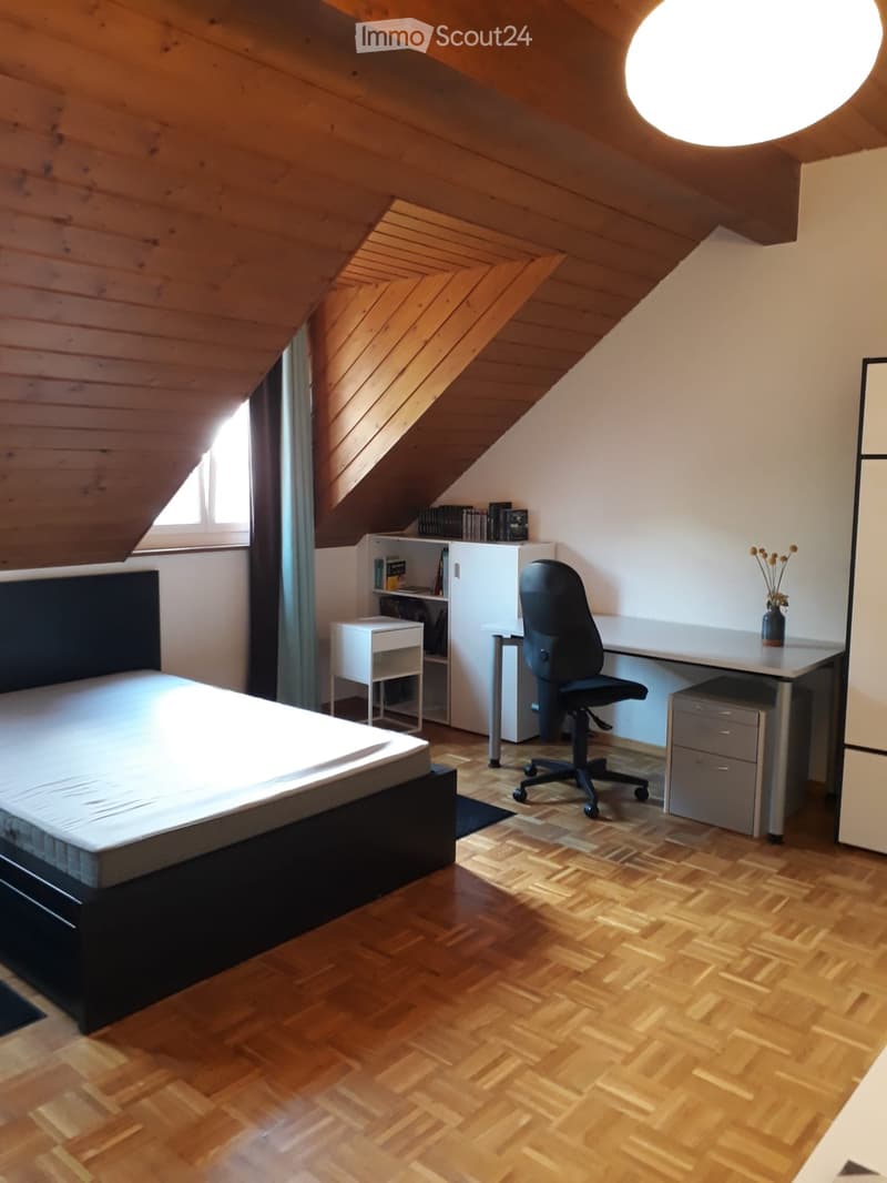 Appartement meublé Grand volume, calme et lumineux (1)