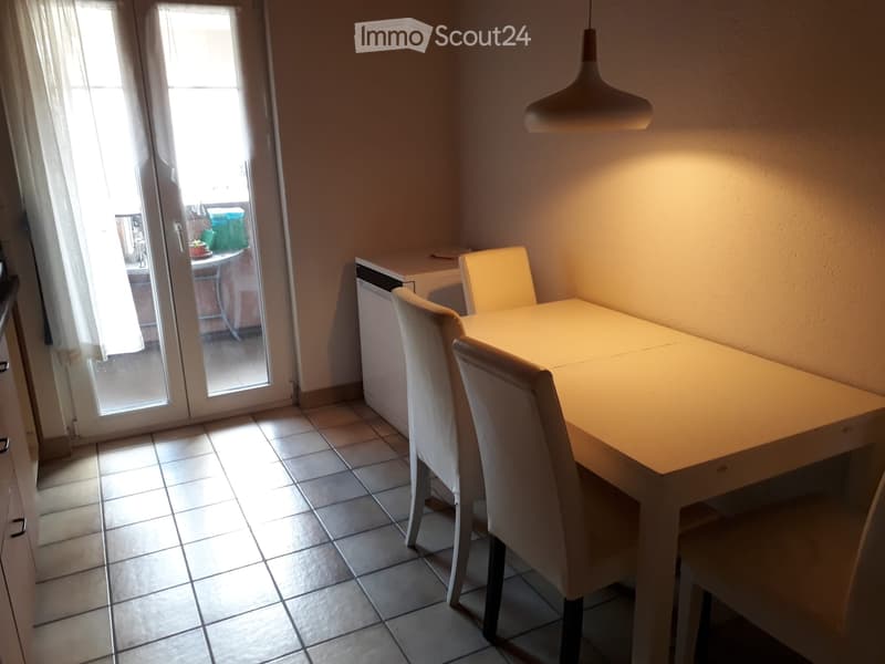 Appartement meublé Grand volume, calme et lumineux (4)