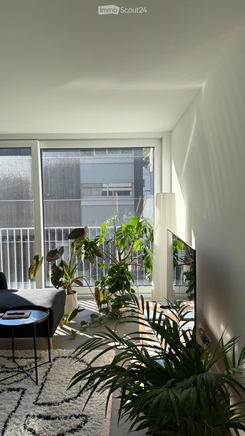 Ich suche einen Nachmieter für eine 2.5-Zimmer-Wohnung in Grono (GR) (8)