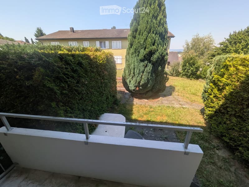 Apartment in Hunzenschwil (1)