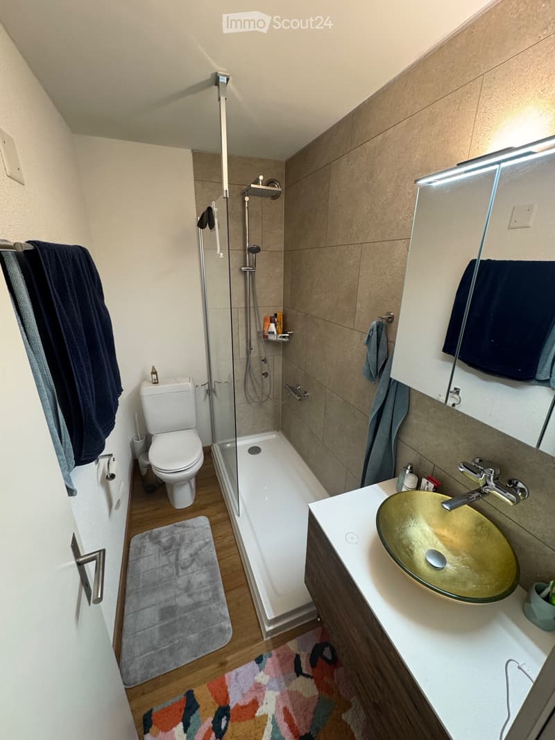 Sunny, quiet and central. 2.5-room apartment (2)