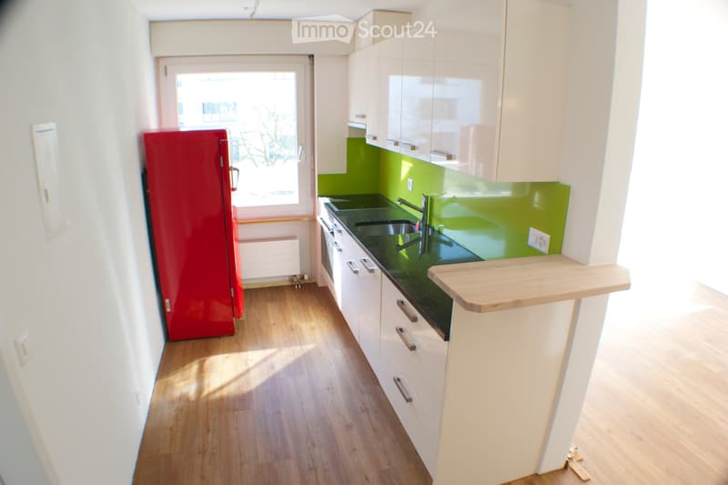 Sunny, quiet and central. 2.5-room apartment (1)