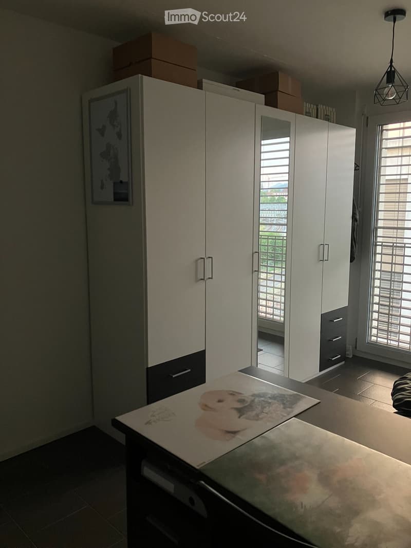Sottoaffitto (6 mesi) Studio arredato luminoso (2)