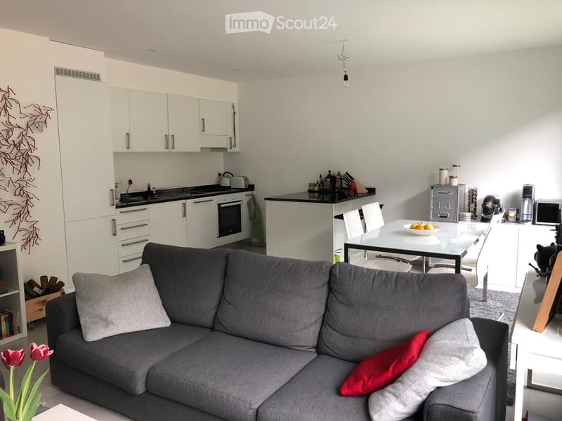 2,5 Zimmer in Cadenazzo (1)