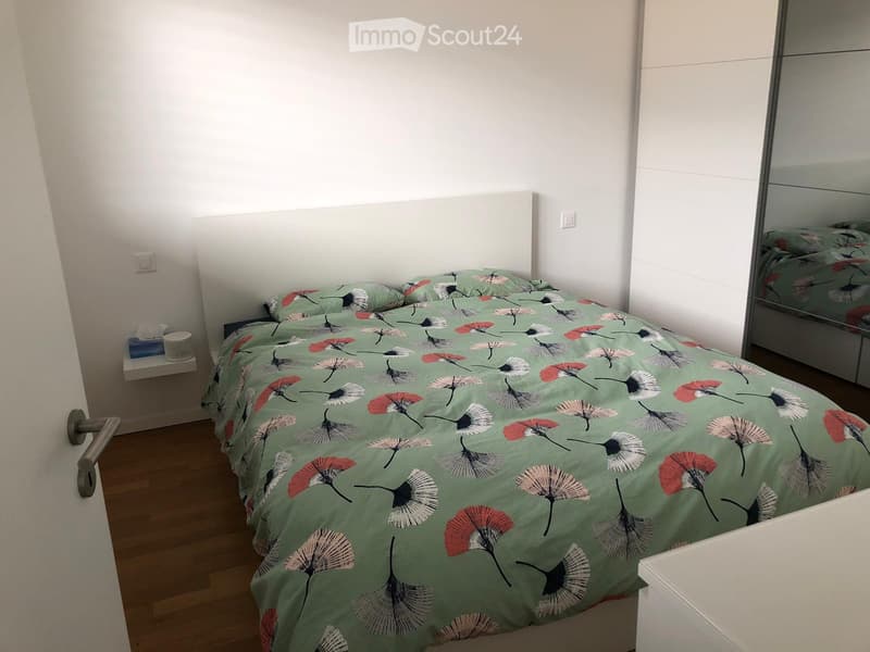 2,5 Zimmer in Cadenazzo (4)