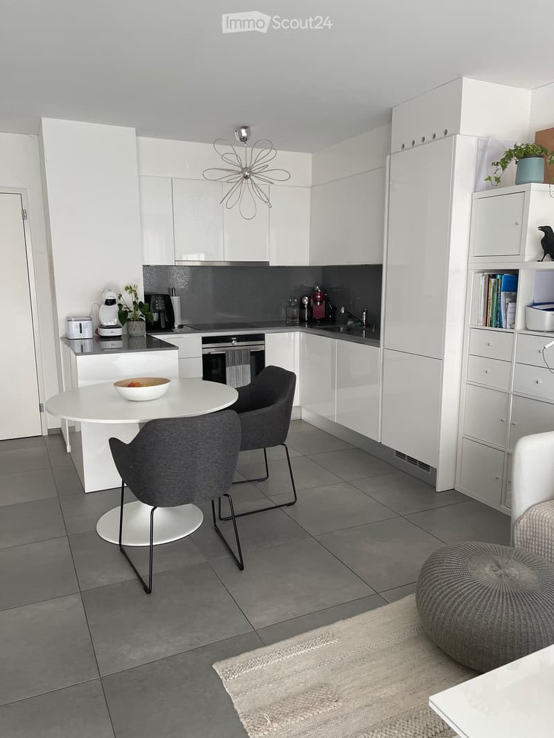 Helles Apartment in Locarno (3)