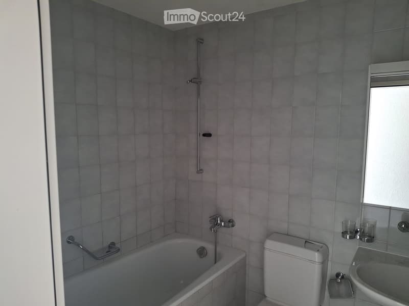 Bel appartement 3,5 pièces à louer (3)