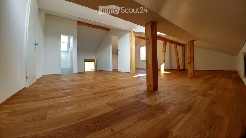 2½-room attic apartment in Adligenswil (1)