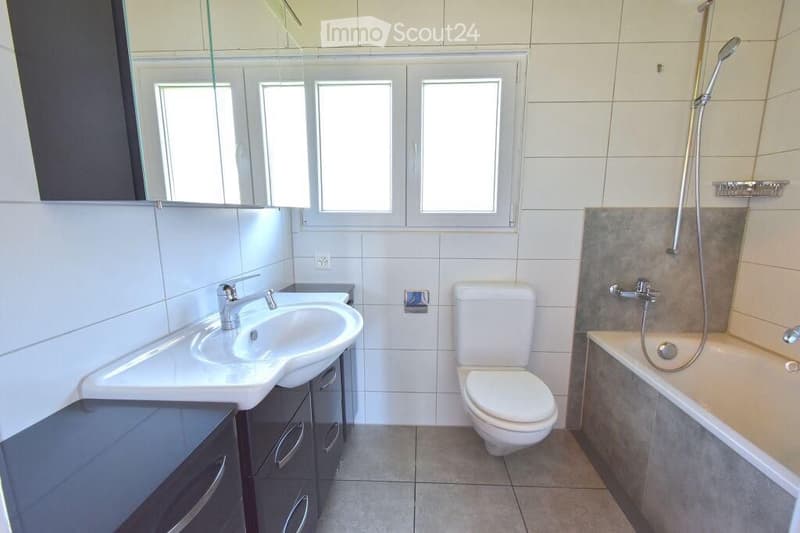 Tenant wanted for single-family house (2)