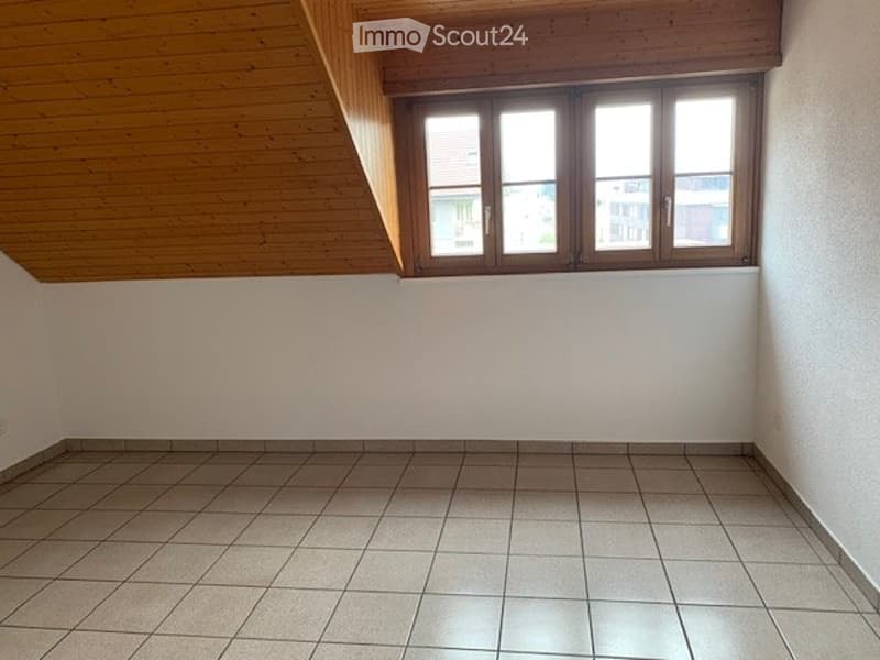 Moderne Wohnung mit klassischen Elementen (5)