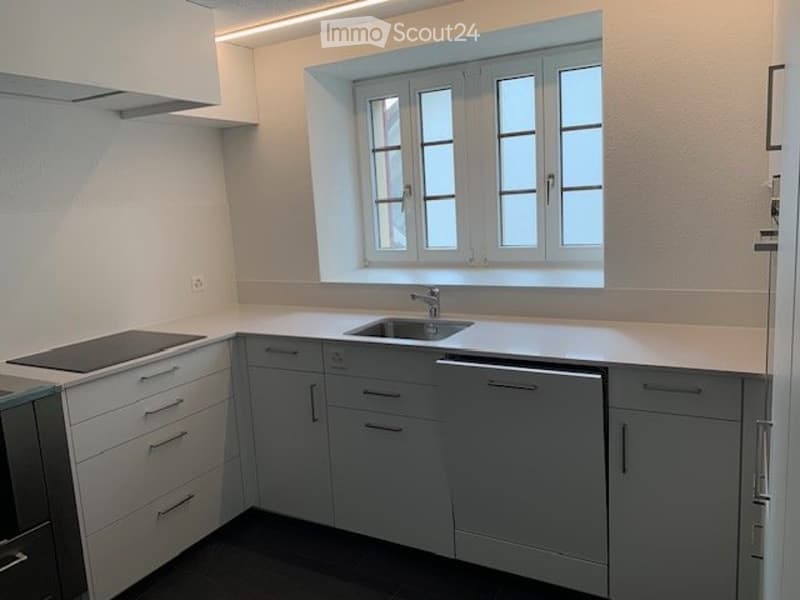 Moderne Wohnung mit klassischen Elementen (1)