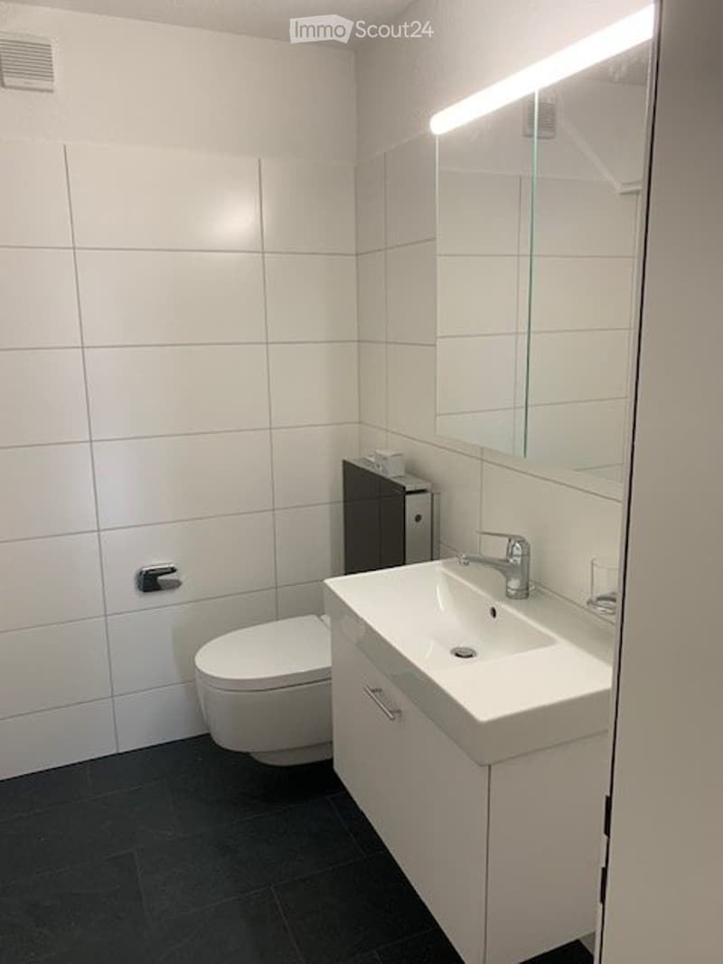 Moderne Wohnung mit klassischen Elementen (3)