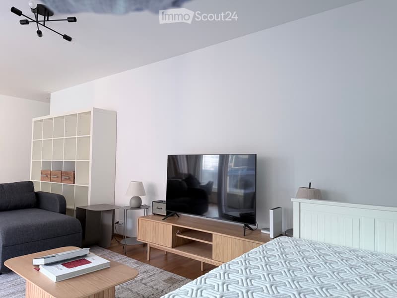 2-Room Furnished Apartment for Rent in Top Location near the Train Station (2)
