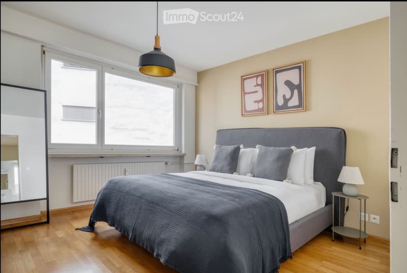 2-Room Furnished Apartment for Rent in Top Location near the Train Station (3)