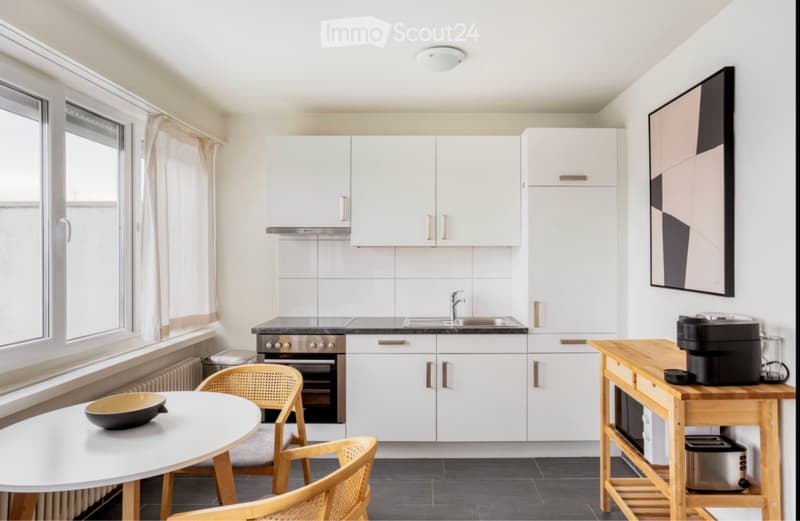 2-Room Furnished Apartment for Rent in Top Location near the Train Station (4)