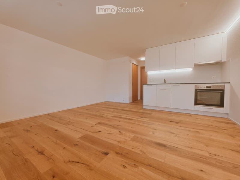 Moderne Erst- oder Zweitwohnung im Herzen vom BE Oberland! (2)